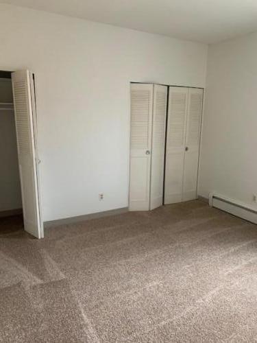 Room with carpet and louvered doors